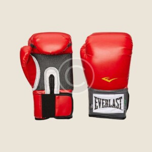 Excellence Pro-Style Boxing Gloves